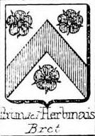 Patin Coat of Arms / Family Crest 3