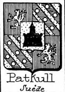 Patkull Coat of Arms / Family Crest 1