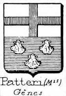 Patteri Coat of Arms / Family Crest 0
