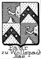 Paur Coat of Arms / Family Crest 14