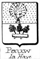 Pauw
