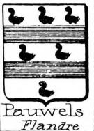 Pauwels Coat of Arms / Family Crest 2