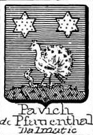 Pavich Coat of Arms / Family Crest 0