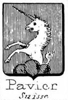 Pavier Coat of Arms / Family Crest 2