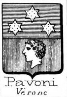 Pavoni Coat of Arms / Family Crest 2