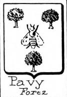 Pavy