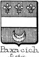 Paxacich Coat of Arms / Family Crest 0