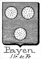 Payen Coat of Arms / Family Crest 2