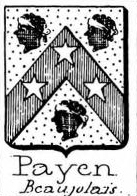 Payen Coat of Arms / Family Crest 3