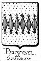 Payen Coat of Arms / Family Crest 4