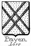 Payen Coat of Arms / Family Crest 5