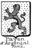 Payen Coat of Arms / Family Crest 6