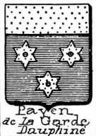 Payen Coat of Arms / Family Crest 8