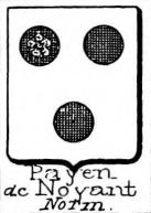 Payen Coat of Arms / Family Crest 9