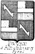 Payer Coat of Arms / Family Crest 1