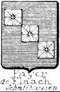 Payer Coat of Arms / Family Crest 2