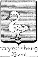 Payersberg Coat of Arms / Family Crest 0