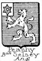 Peachy Coat of Arms / Family Crest 0