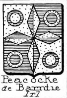 Peacocke