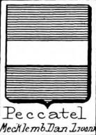 Peccatel Coat of Arms / Family Crest 2