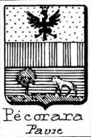 Pecorara Coat of Arms / Family Crest 1