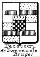 Pecsteen Coat of Arms / Family Crest 1