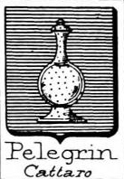 Pelegrin Coat of Arms / Family Crest 1
