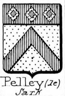 Pelley Coat of Arms / Family Crest 4