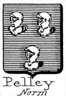 Pelley