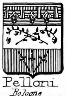 Pelloni