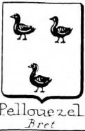 Pellouezel