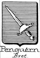 Penguern Coat of Arms / Family Crest 1