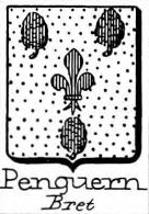 Penguern Coat of Arms / Family Crest 2