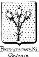 Pernorowski Coat of Arms / Family Crest 0