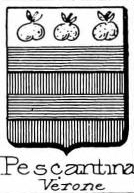 Pescantina Coat of Arms / Family Crest 0