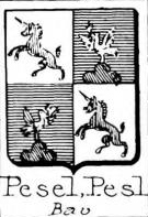 Pesel Coat of Arms / Family Crest 0