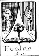 Pesler Coat of Arms / Family Crest 0