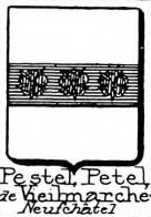 Pestel Coat of Arms / Family Crest 2