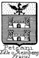 Peteani Coat of Arms / Family Crest 1