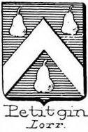 Petitgin Coat of Arms / Family Crest 0