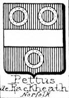 Pettus Coat of Arms / Family Crest 0