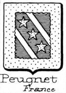 Peugnet Coat of Arms / Family Crest 0