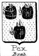 Pex Coat of Arms / Family Crest 0