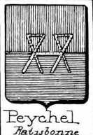 Peychel Coat of Arms / Family Crest 0
