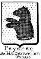 Peyerer Coat of Arms / Family Crest 0
