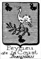 Peyrieu Coat of Arms / Family Crest 0