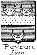 Peyron Coat of Arms / Family Crest 0