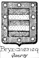 Peyronencq Coat of Arms / Family Crest 0