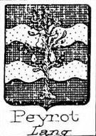 Peyrot Coat of Arms / Family Crest 0