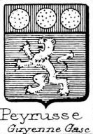 Peyrusse Coat of Arms / Family Crest 0